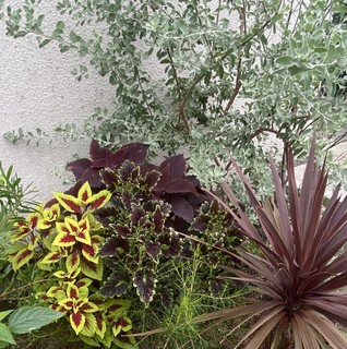 �ʐ^ 2024-10-15  9 12 14.jpg