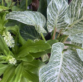 �ʐ^ 2025-09-01 8 2 5 42.jpg