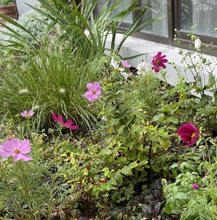 �ʐ^ 2025-10-07 16 02 2 1.jpg