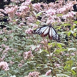 �ʐ^ 2025-11- 08 9 35 11.jpg