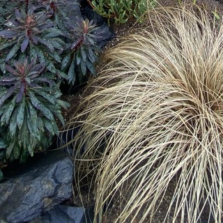 �ʐ^ 2025-12-08  12 04 31.jpg