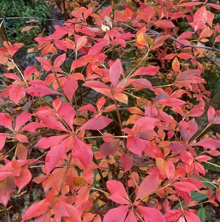 �ʐ^ 2025-12-20  13 13 07.jpg