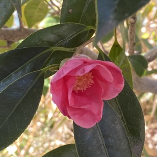 �ʐ^ 2026-02-14 10 11  22.jpg