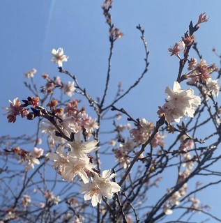 �ʐ^ 2026- 01-17 14 24 38.jpg