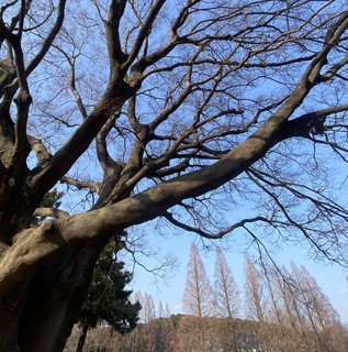 �ʐ^ 2026- 01-17 14 41 13.jpg