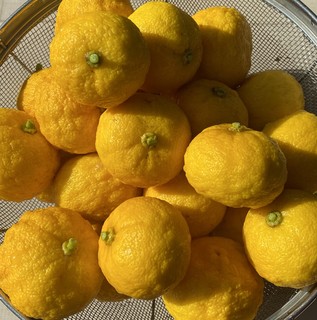 �ʐ^ 2026 -01-25 13 24 37.jpg